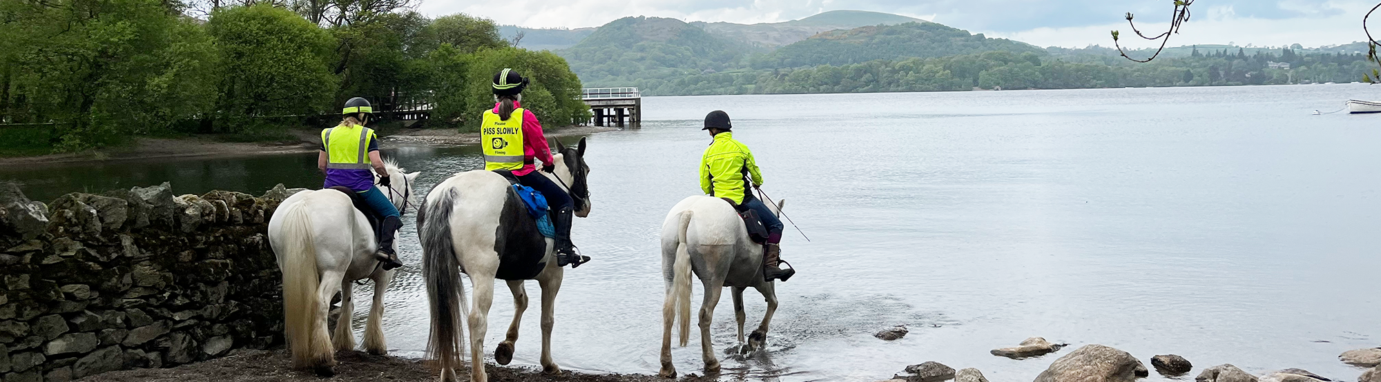 Horses from saddle back horse trails at Howtown Bay